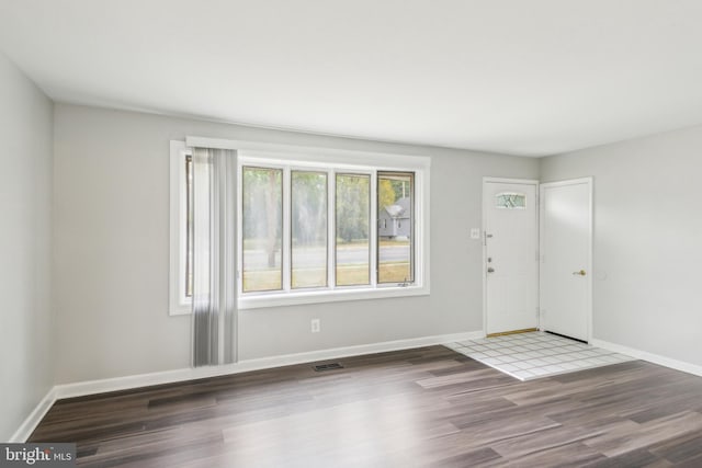 foyer with wood-type flooring