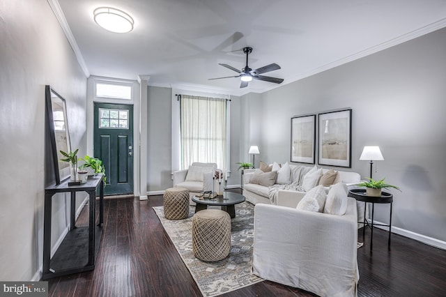 living room featuring ornamental molding, ceiling fan, and dark wood-type flooring