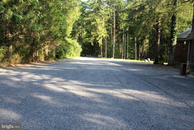 view of street with a wooded view