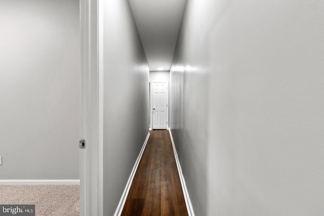 hallway with wood-type flooring