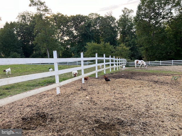 view of yard with a rural view