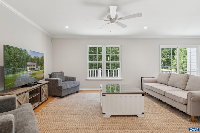 living room featuring crown molding, light hardwood / wood-style flooring, and ceiling fan