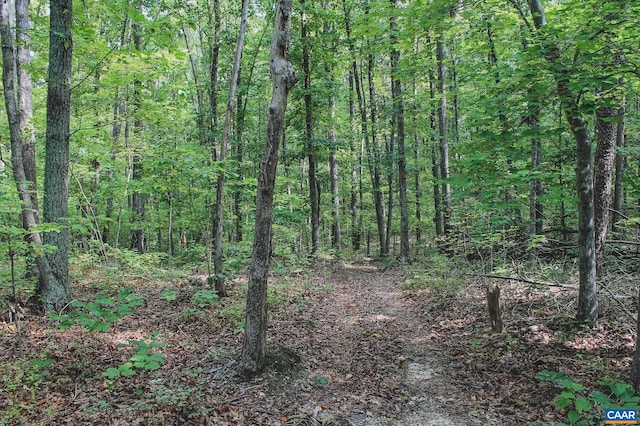 view of landscape