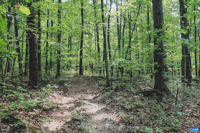 view of landscape