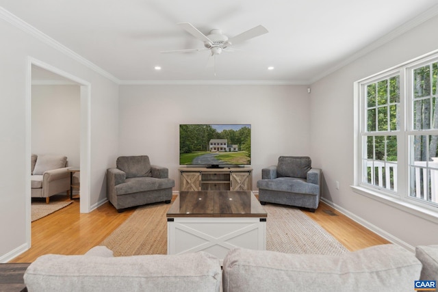 living room with ceiling fan, ornamental molding, and light hardwood / wood-style flooring