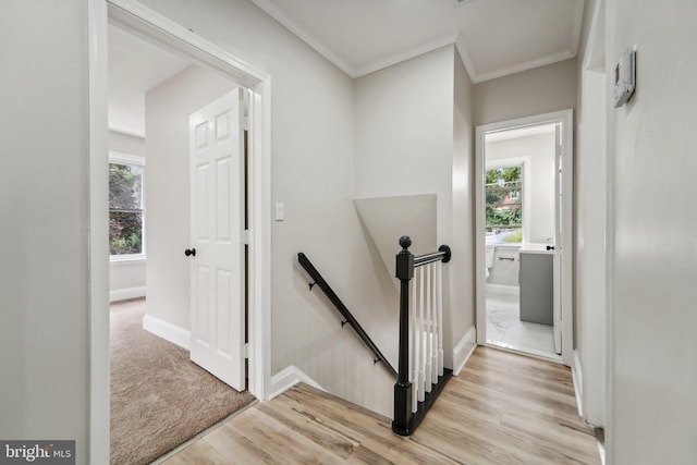 staircase with wood-type flooring and ornamental molding