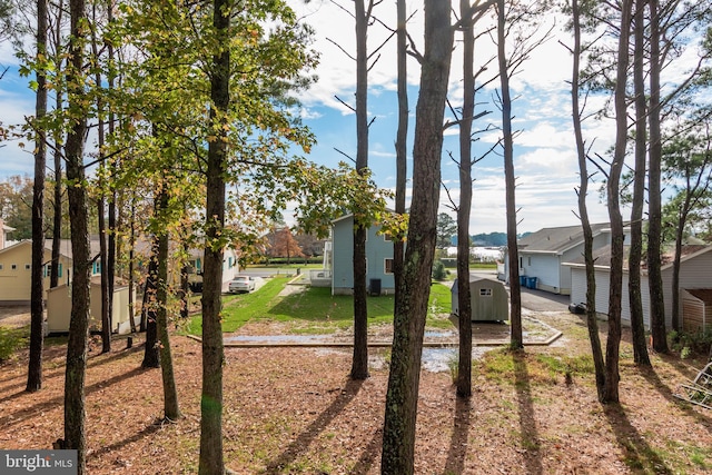 view of yard featuring a garage and a storage shed