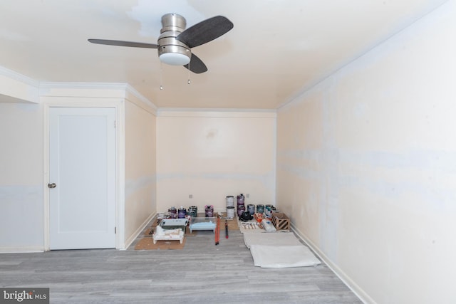 interior space featuring ceiling fan and light hardwood / wood-style floors