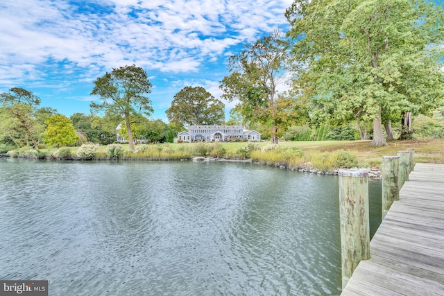 dock area with a water view