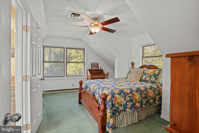 bedroom featuring multiple windows, a baseboard heating unit, carpet floors, and vaulted ceiling