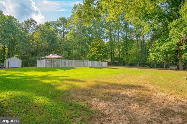 view of yard with a shed