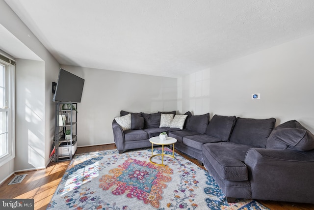 living room with a textured ceiling and hardwood / wood-style floors