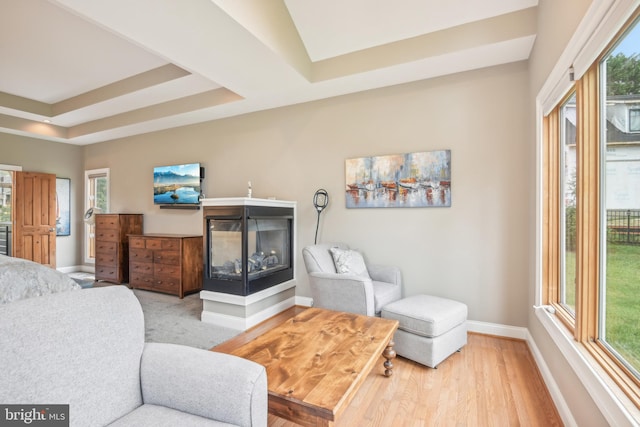 living room featuring a multi sided fireplace and hardwood / wood-style floors