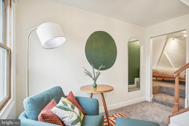 sitting room featuring carpet