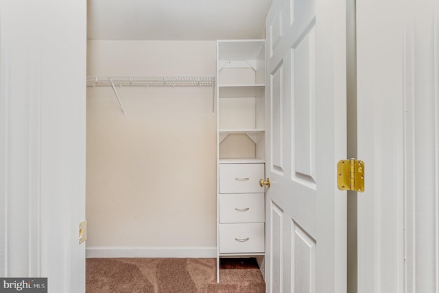 walk in closet featuring carpet