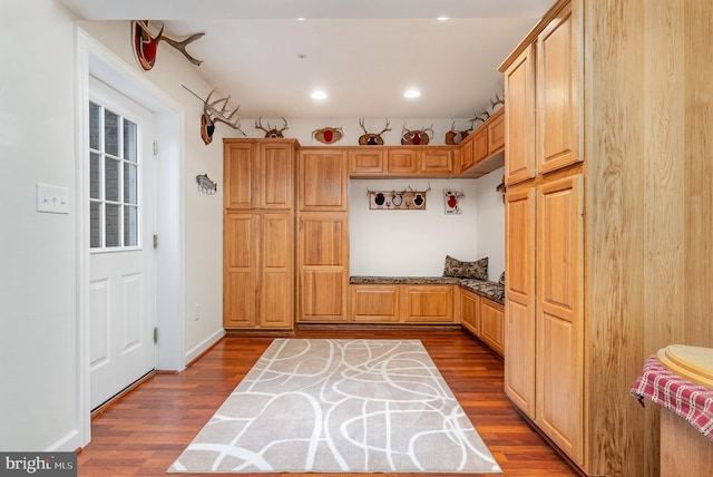 mudroom with dark hardwood / wood-style flooring