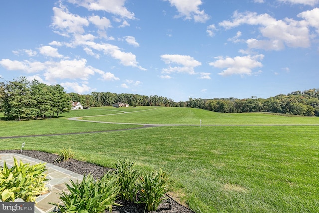 surrounding community featuring a yard