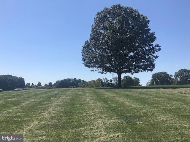 view of community with a lawn and a rural view