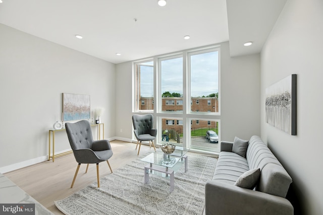 living room with light wood-type flooring