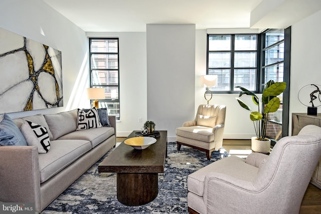 living room with hardwood / wood-style floors