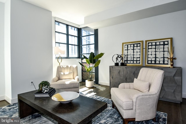 living room featuring dark hardwood / wood-style flooring