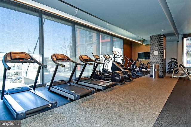 gym with carpet flooring