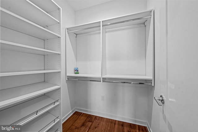 walk in closet with dark hardwood / wood-style floors