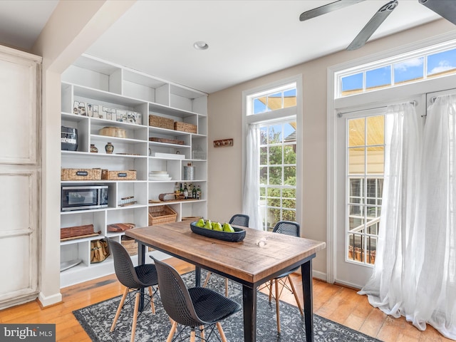 dining space with ceiling fan and light hardwood / wood-style flooring