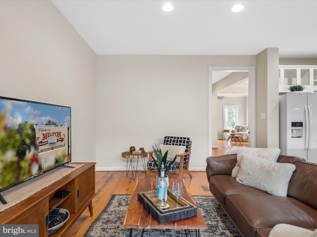 living room with wood-type flooring