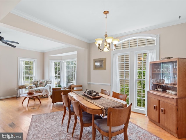 dining space with ceiling fan with notable chandelier, light hardwood / wood-style flooring, and crown molding