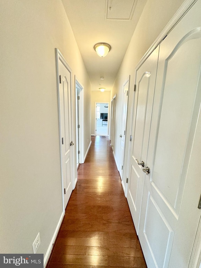 hall with dark hardwood / wood-style floors