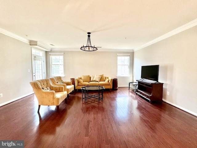 living room featuring crown molding, dark wood-type flooring, and an inviting chandelier