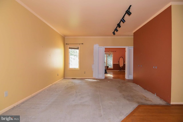 carpeted spare room with ornamental molding and rail lighting