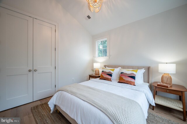 bedroom featuring hardwood / wood-style flooring, lofted ceiling, and a closet