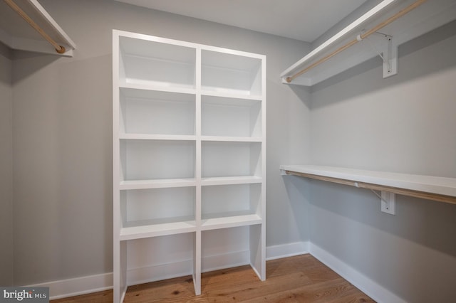 spacious closet with wood-type flooring