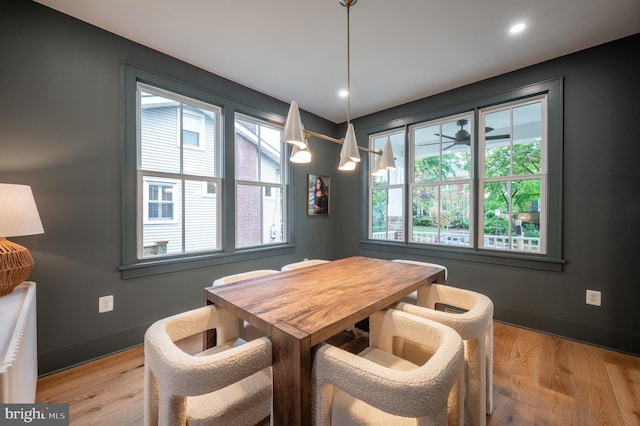 dining room featuring light hardwood / wood-style flooring