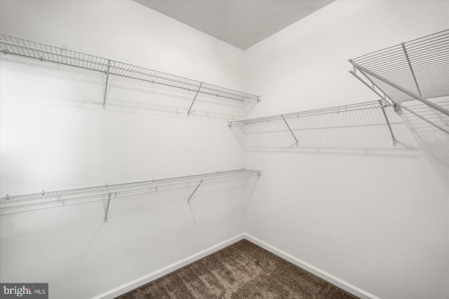 83 Landon Dr, Bellefonte, PA 16823 - spacious closet with dark colored carpet