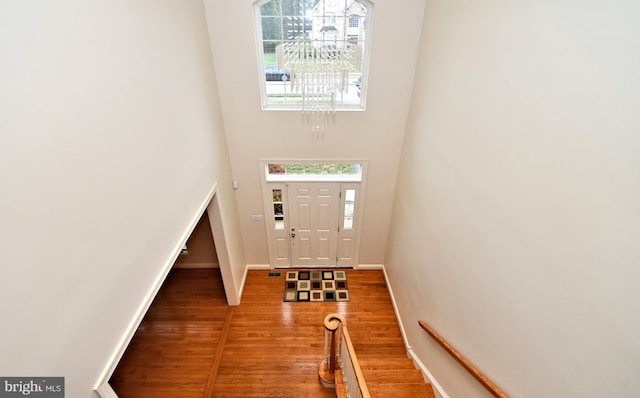 entrance foyer featuring a towering ceiling and dark wood-type flooring