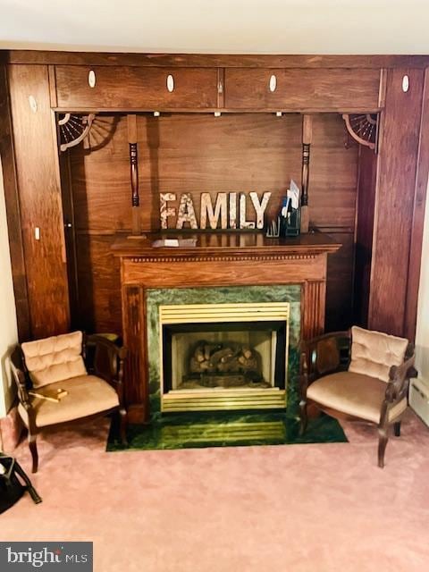 sitting room with a premium fireplace and carpet floors