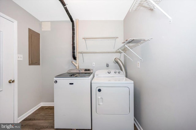 laundry room with electric panel, washing machine and clothes dryer, and hardwood / wood-style flooring