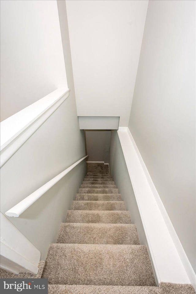 stairs featuring carpet flooring