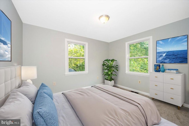 carpeted bedroom with multiple windows