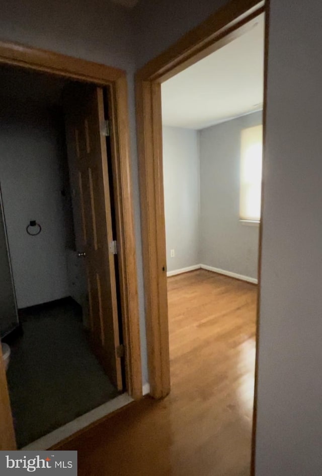 hallway with wood-type flooring