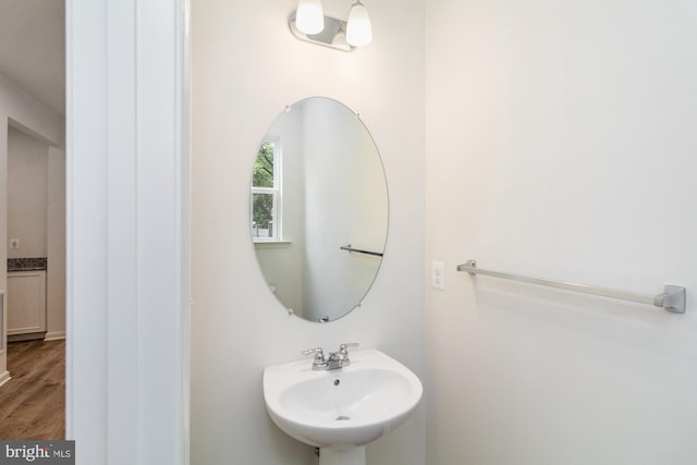 bathroom with wood-type flooring and sink