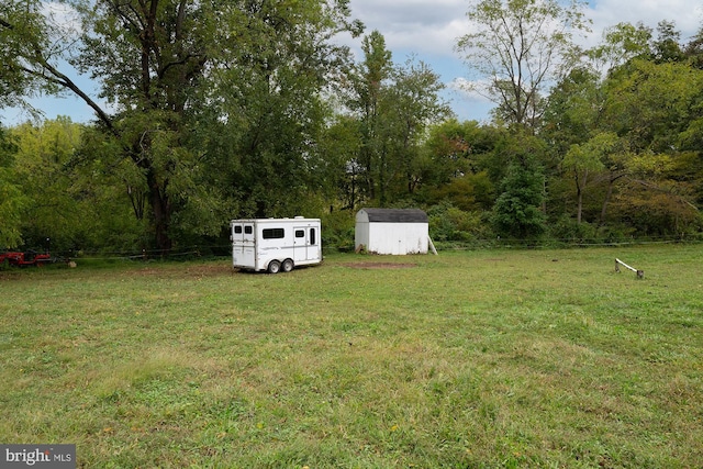 view of yard featuring a storage shed