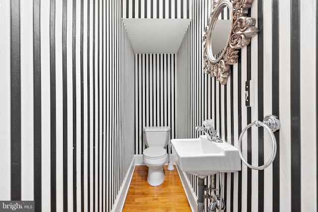 bathroom with hardwood / wood-style floors and toilet