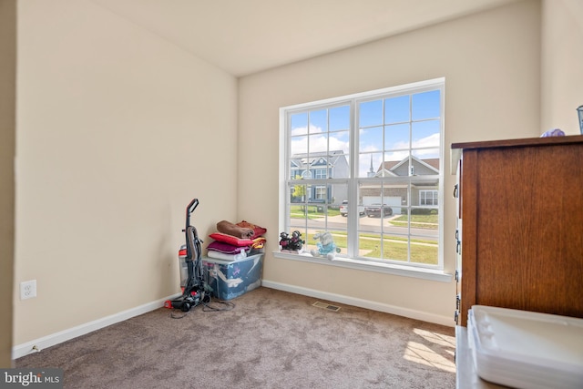 miscellaneous room with a wealth of natural light and carpet floors