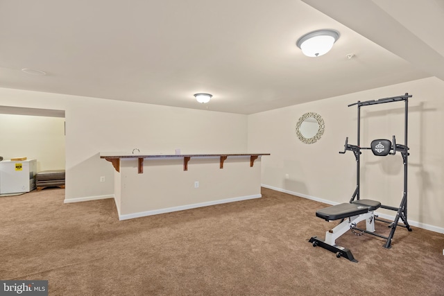 workout area with carpet floors