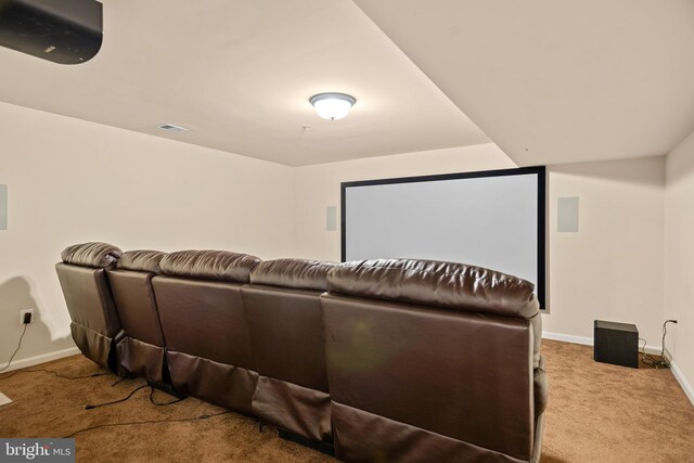 home theater room with light carpet