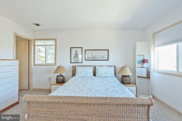 carpeted bedroom featuring multiple windows